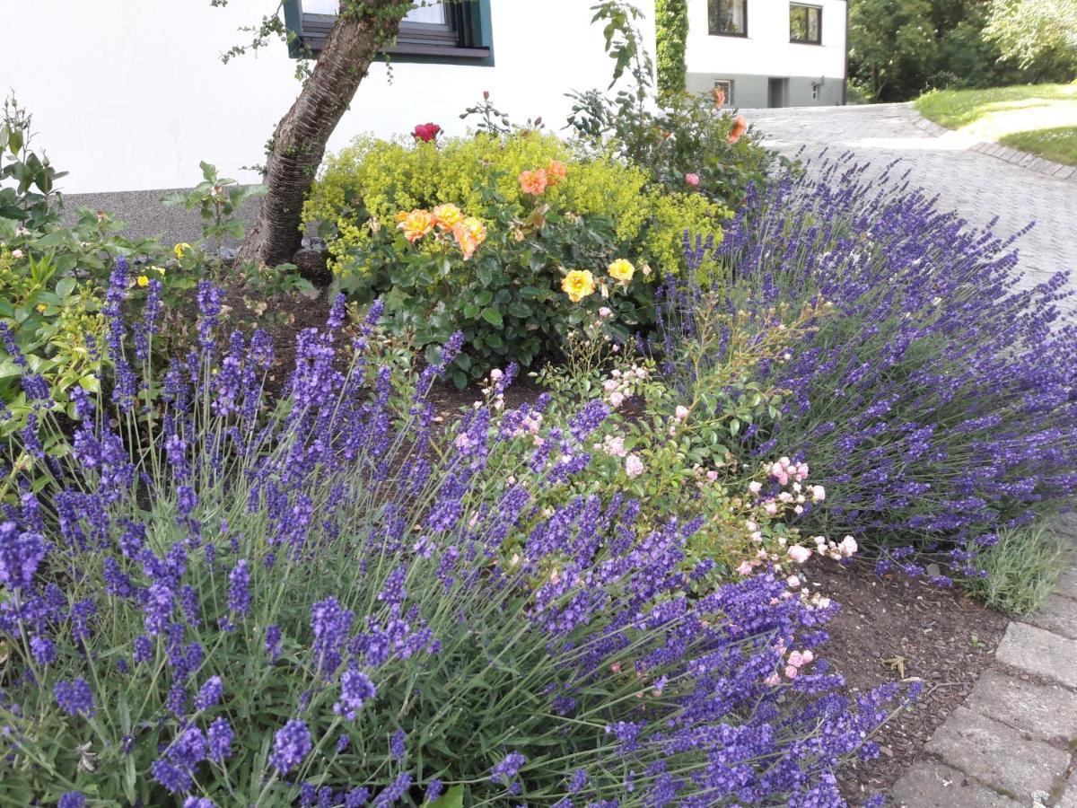 Ferienhaus Wasserfall Bestwig Exterior photo